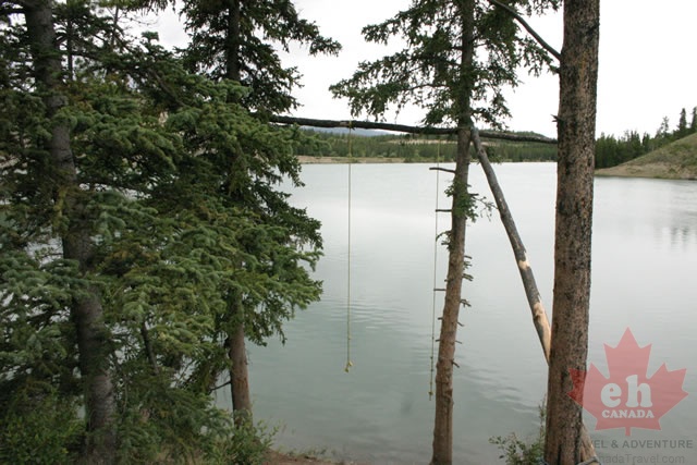 Rope Swing