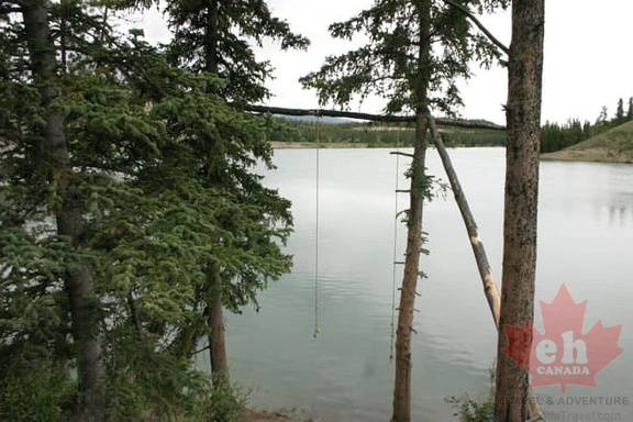 Rope Swing
