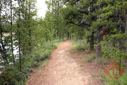 Walking Trail