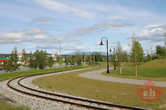 Trolley Tracks