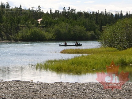 Canoe Trip (2399 visits) Couple paddling the Yukon River in downtown Whitehorse Canoe Trip