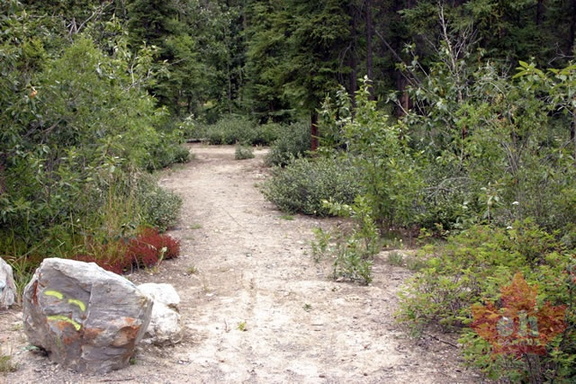 Hiking Trail