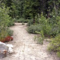 Hiking Trail