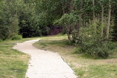 trail 004.jpg