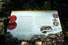 Interpretive Sign