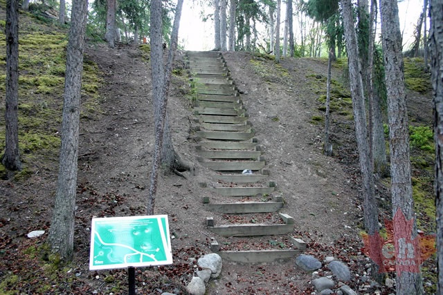 escarpment-trail.jpg