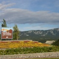 Welcome Sign