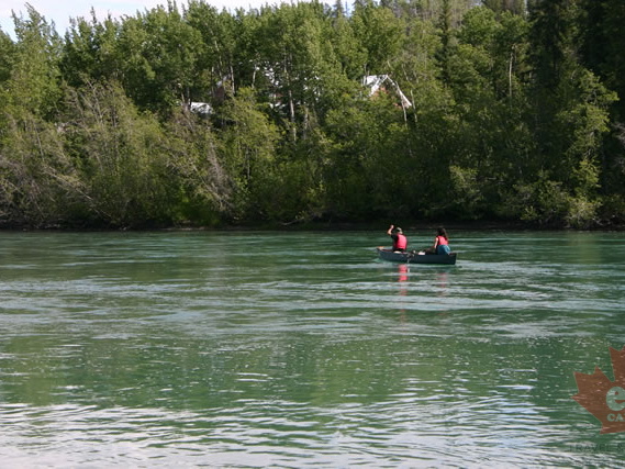 Yukon River Paddle Route (1659 visits) Canoe trips down the Yukon River Yukon River Paddle Route
