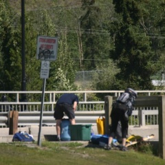 Preparing to Launch (2217 visits) Couple set to launch canoe at Yukon River put-in in Whitehorse Preparing to Launch