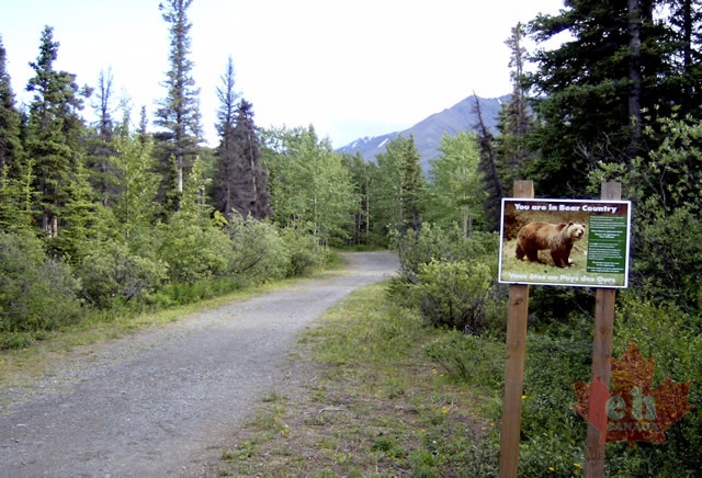 Bear Country