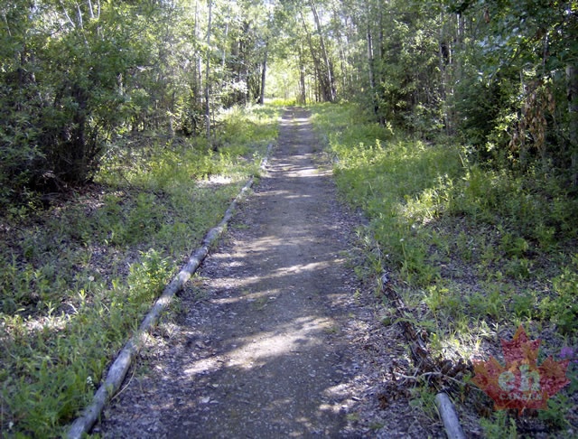 Hiking Trail