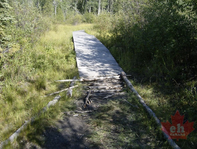 Boardwalk Trail