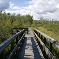 Dezadeash River Trail