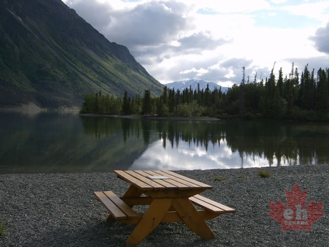 Picnic Table