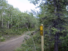 Trail Sign