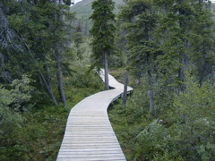 trail 001.jpg