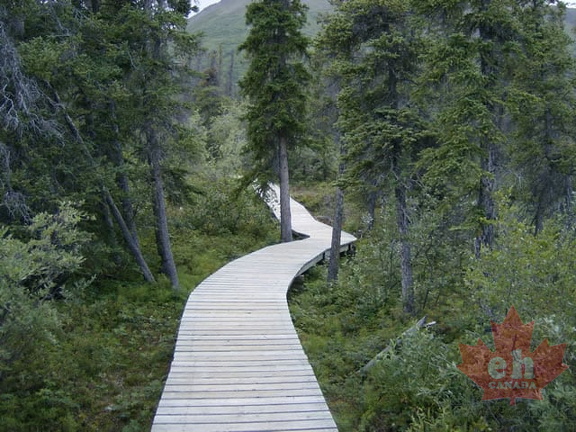 Boardwalk  Trail