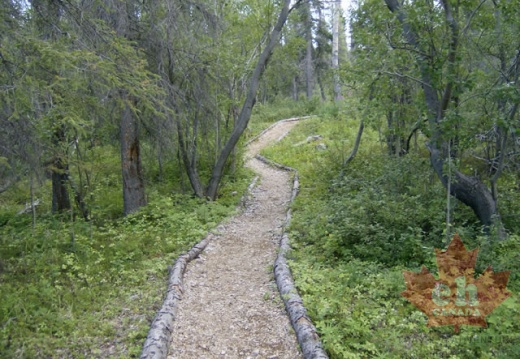 Gravel Trail