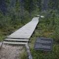 Hiking Trail