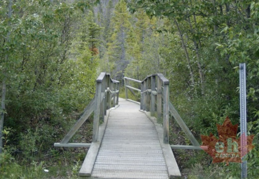 Foot Bridge