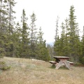 Picnic Table