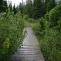 Boardwalk Trail