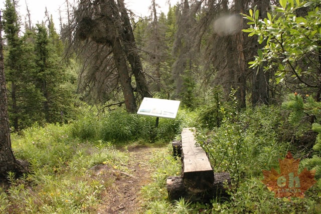 trail 002.jpg