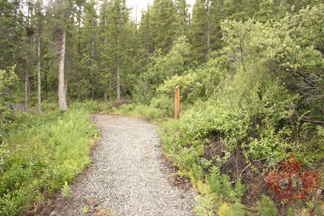 trail 001.jpg