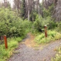 Loop Trail