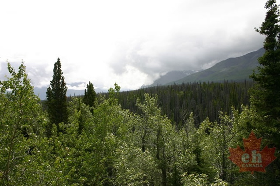 Views from Lookout