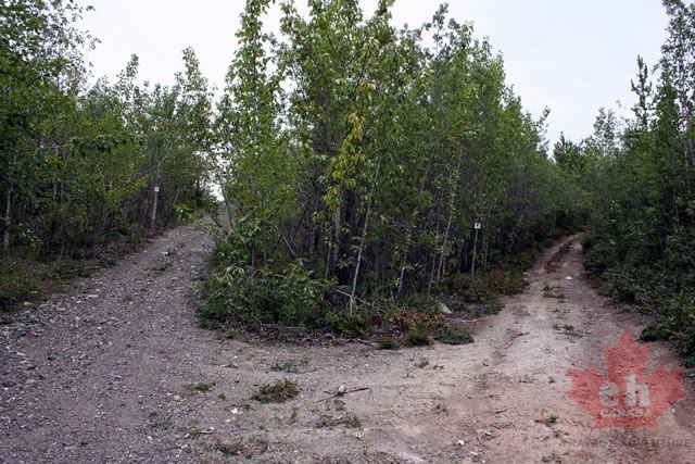trail 001.jpg