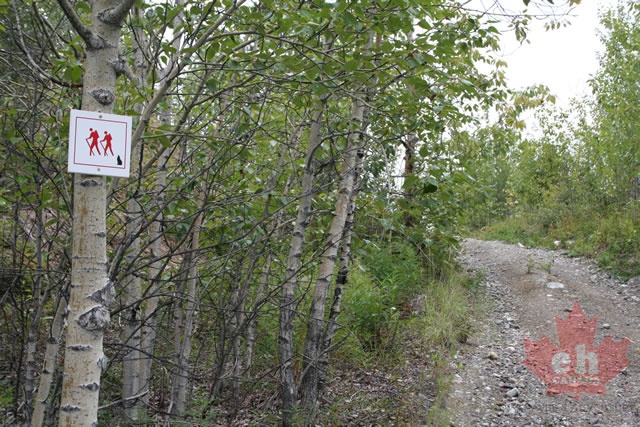 trail 002.jpg