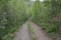 Wolf Trail