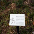 Trail Signs