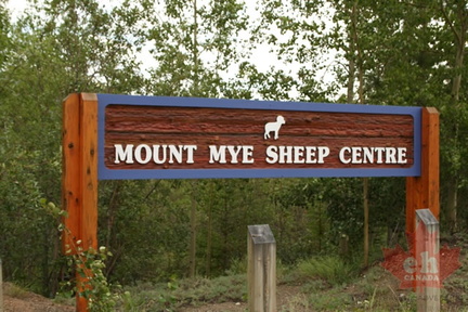 Welcome Sign