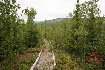 Walking Path
