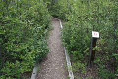 Hiking Trail
