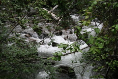 Van Gorder Creek