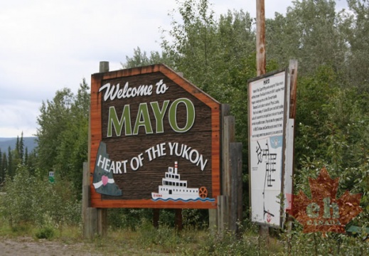Mayo Sign