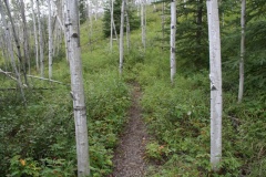 trail 004.jpg