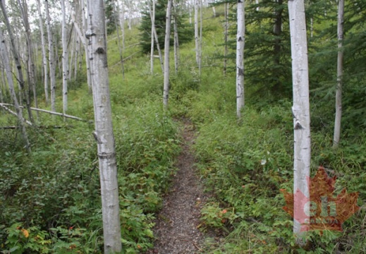 Devil's Elbow Trail