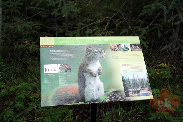 trail 005.jpg