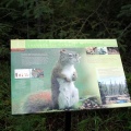 Interpretive Sign