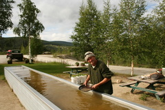 gold-panning _1_.jpg