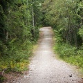 Hiking Trail