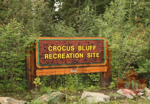 Trailhead Parking Lot