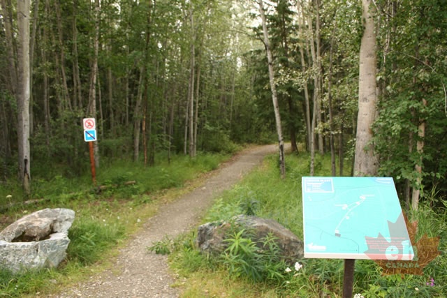 trail _2_.jpg
