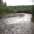 Bonanza Creek