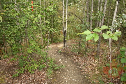 Hiking Trail