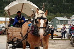 Chuck Wagon Ride